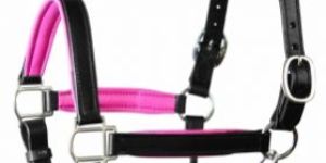 Leather Horse Halter