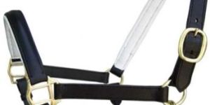 Padded Leather Halter