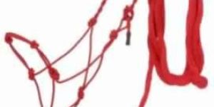 Raw Hide Rope Halter