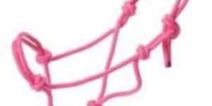Rope Halter with Raw Hide