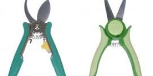 Light And Dark Green Set Mini Pruning and Trmmer by Wonderland : Garden Tools