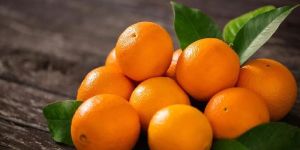 Fresh Oranges