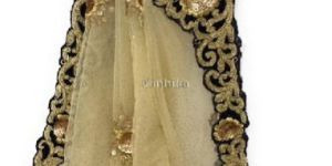 Golden Net Dupatta, Velvet Border N Gold Embroidery