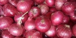Red Onion