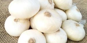 White Onion