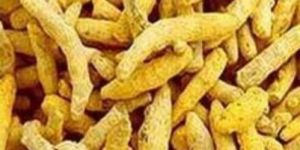 Herbal Turmeric Finger