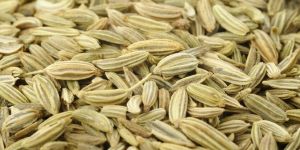 Natural Fennel Seeds