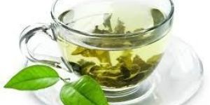 Organic Green Tea