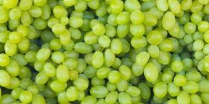 Fresh Green Grapes