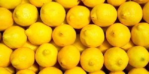 Fresh Lemon