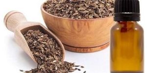 Dill Seed Essential Oil