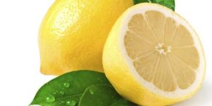 Lemon Hydrosol