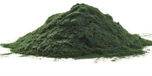 Spirulina Powder
