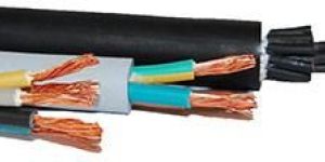 SINGLE CORE & MULTICORE ELASTOMER INSULATED CABLE