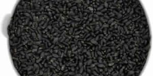 Basil Seed