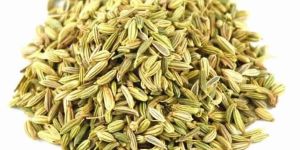 Fennel Seed