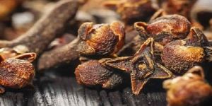 Clove Bud Oil