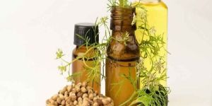 Coriander Oil