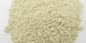 Dehydrated Garlic Powder