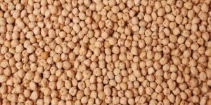Kabuli Chickpeas
