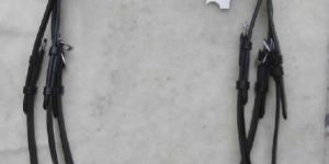 Drop Noseband Bridle