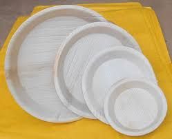 Arecanut Leaf Plates