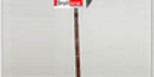 Stainless Steel Witches Axe