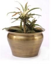 Cast Iron Planters Copper Planters