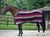 Printed Antipill Horse Fleece Rug