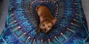 COTTON PILLOW THROW, BOHEMIAN PILLOW DOG BED COVER