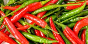Organic Green & Red Chilli