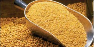 Soyabean Meal