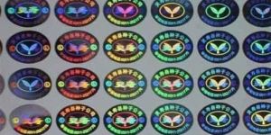 Flip Flop Hologram Stickers