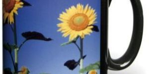 Mug Printing Services