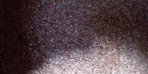 Organic Brown Flax Seeds