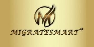 Immigration Law Services