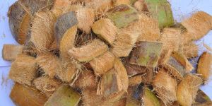 EG Coir Husk Chips