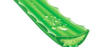 Face Aloe Vera Pulp