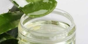 Skin Care Aloe Vera Pulp