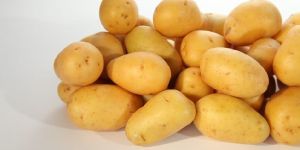 Potatoes