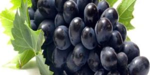 Fresh Black Grapes