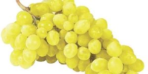 Fresh Yellow Grapes
