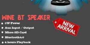 Wine Glass Speaker