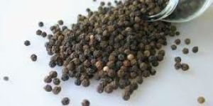 Black Pepper