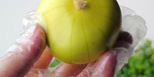 Disposable Pe Gloves