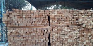 Red Neem Wood