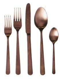 Silver Spoon and Fork Tastig Spoon