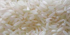 Basmati Rice