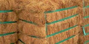 Coir Fibre