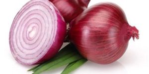 Indian Red Onion